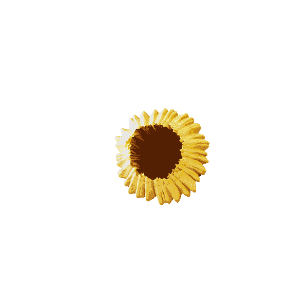 Animierte Grafik einer Sonnenblume
