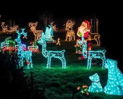 Weihnachtsbeleuchtung im Garten mit Lichtskulpturen