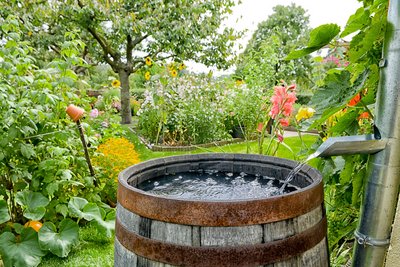 Wasser läuft in eine Regentonne, Garten im Hintergrund