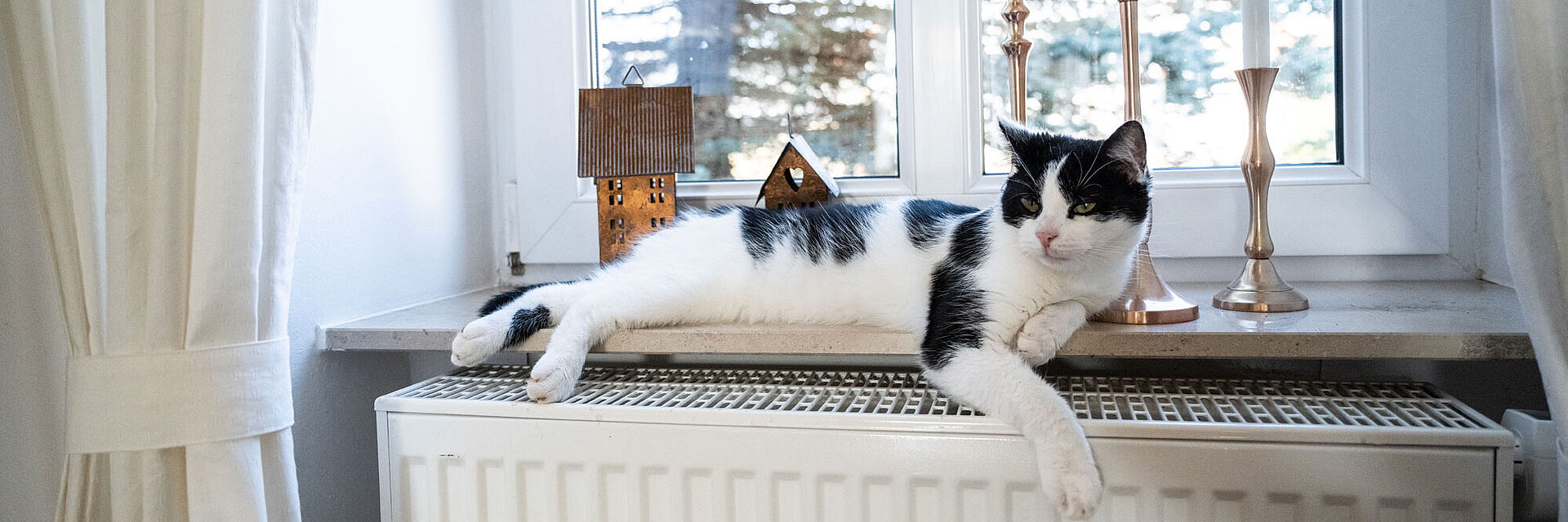 Katze liegt im Fensterbrett über einer Heizung