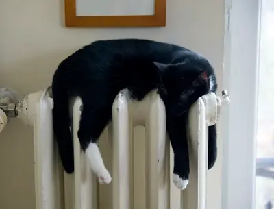 Katze liegt im Fensterbrett über einer Heizung