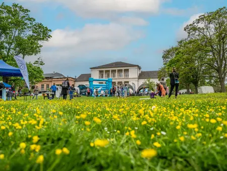 Blick auf die Grüne Messe mit gelben Blumen im Vordergrund