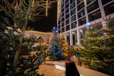 Blick auf den SWM Weihnachtsmarkt mit vielen Tannen