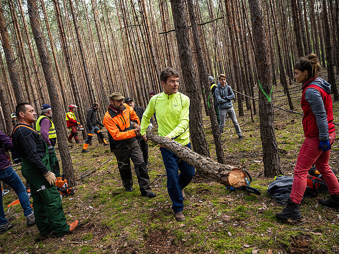 Die Teilnehmer:innen des SWM Motorsägenkurs im Beelitzer Wald