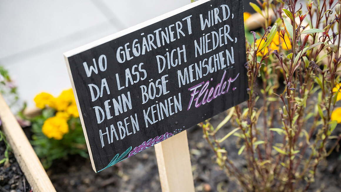 Schild "Wo gegärtnert wird, da lass dich nieder, denn böse Menschen haben keinen Flieder." in Nachbars Garten