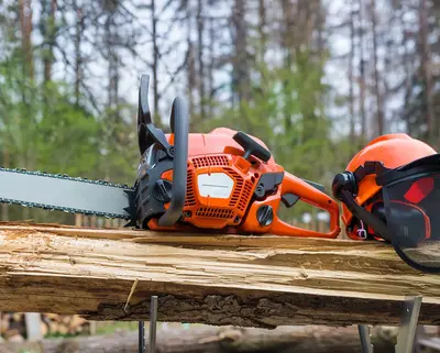 Motorsäge und Helm liegen auf einem Baum