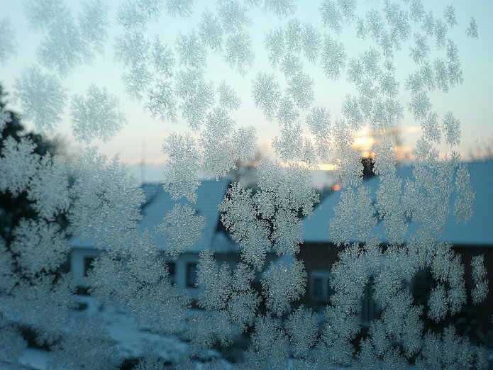 Eisblumen am Fenster