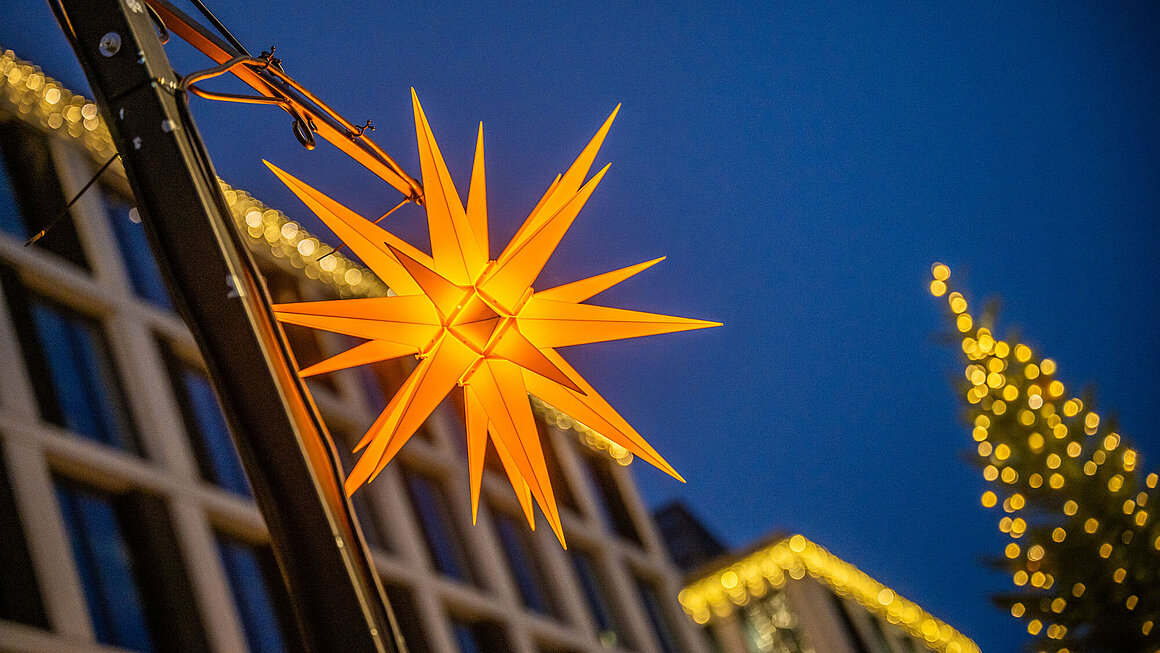 Blauer Bock mit Weihnachtsbeleuchtung mit gelben Weihnachtsstern und Weihnachtsbaum