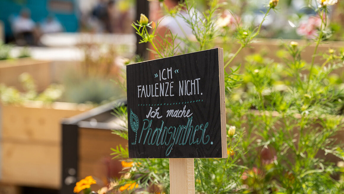 Schild "Ich faulenze nicht, ich mache Photosynthese." in einem Hochbeet in Nachbars Garten