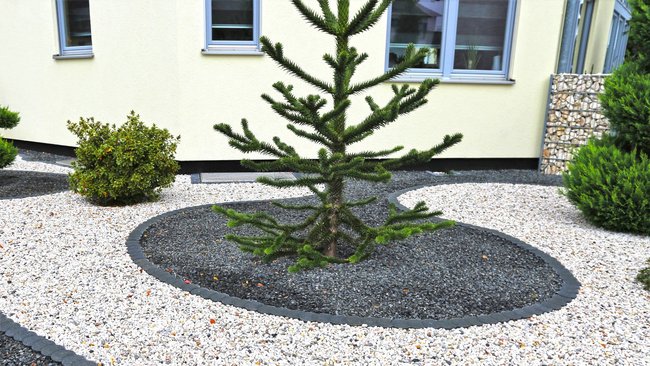 Steingarten mit Baum im Mittelpunkt