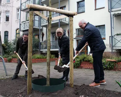 Pflanzung des ersten Baumes in der Gerhart-Hauptmann-Straße mit Stefan Matz, Oberbürgermeisterin Simone Borris und Andreas Fedorczuk (v.l.)