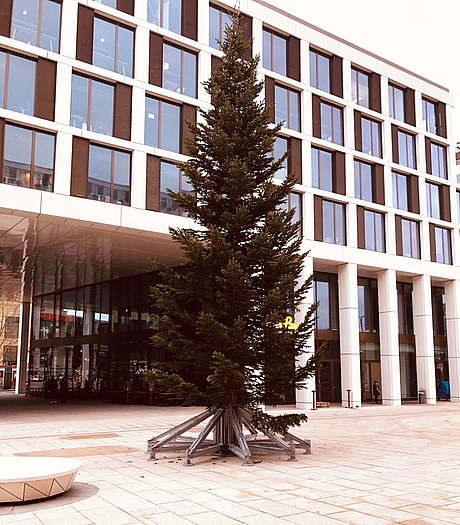 Weihnachtsbaum auf dem Platz zwischen dem Blauen Bock und dem Karstadt Gebäude