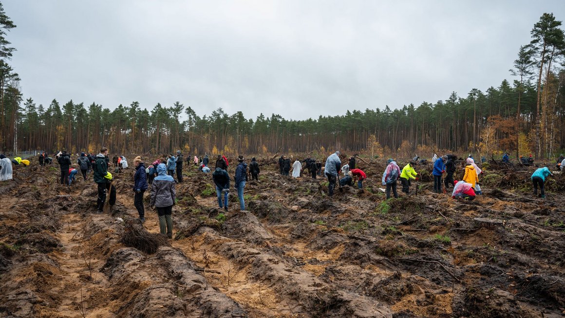 Menschen pflanzen Bäume im Wald