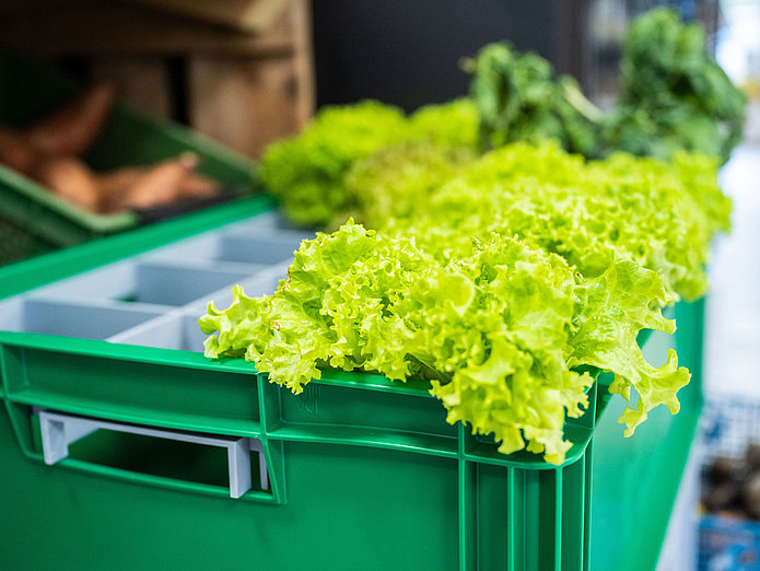 Salat ohne Plastikverpackung bei Frau Erna