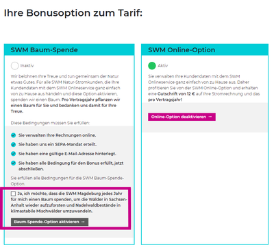 Grafik zur Übersicht aller Bonusoptionen bei einem SWM Natur Strom Vertrag