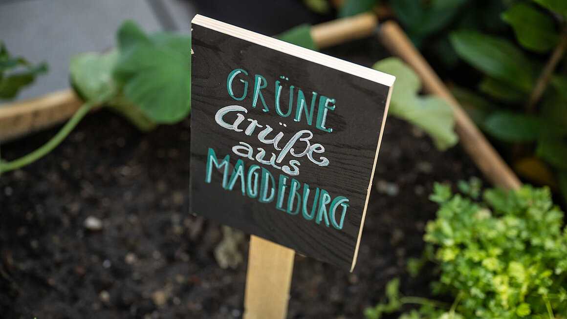 "Schild "Grüne Grüße  aus Magdeburg" in Nachbars Garten