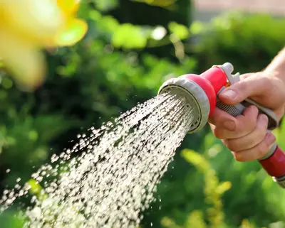 Blumen werden mit einer Gartenbrause bewässer