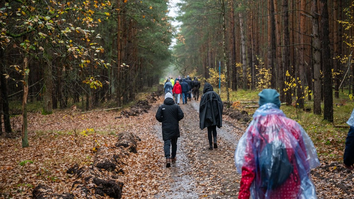 Menschen von hinten in Regenbekleidung gehen in den Wald