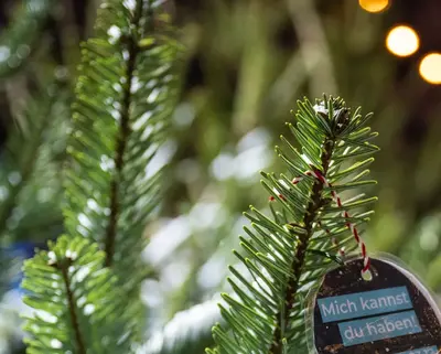 Tanne mit Schild "Mich kannst du haben" auf dem SWM Weihnachtsmarkt