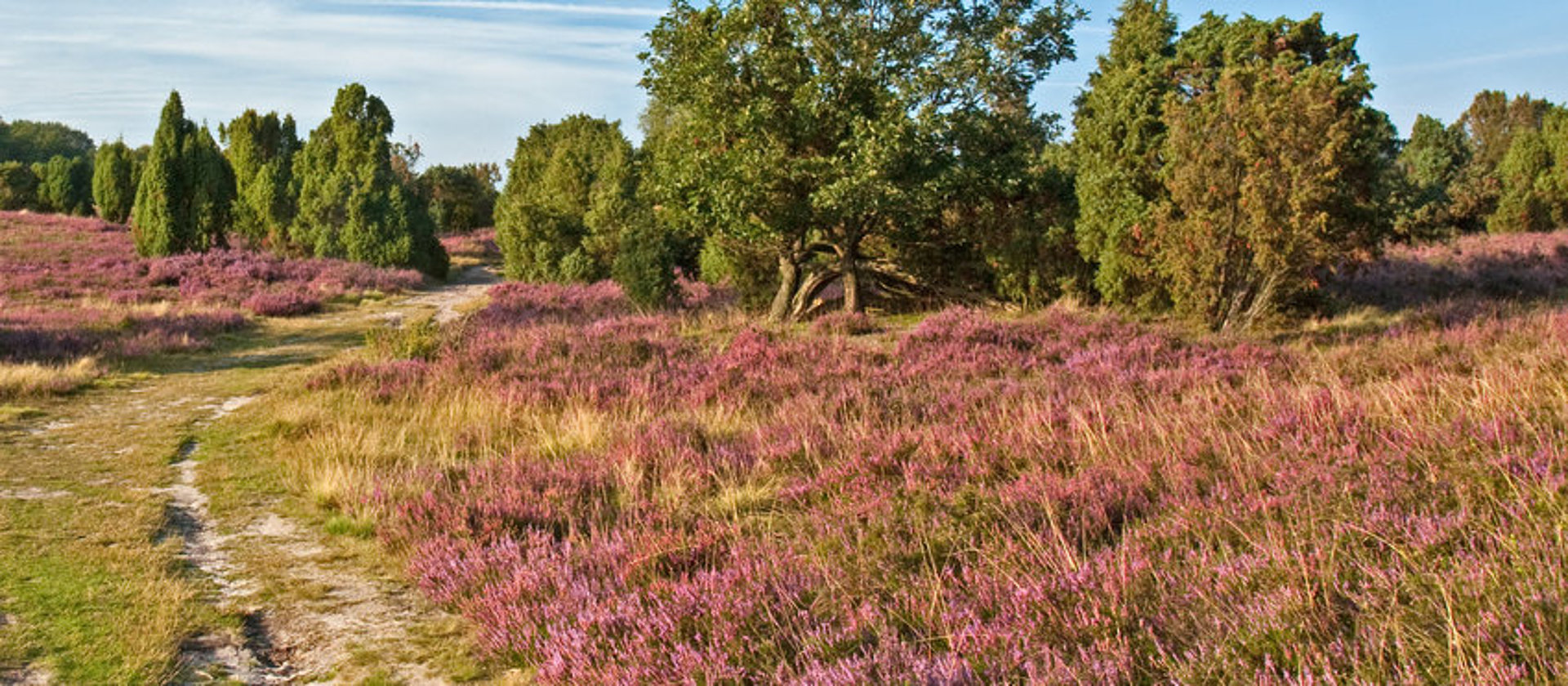 Colbitz-Letzlinger Heide Die Colbitzer Heide - Herkunft des Trinkwassers von SWM