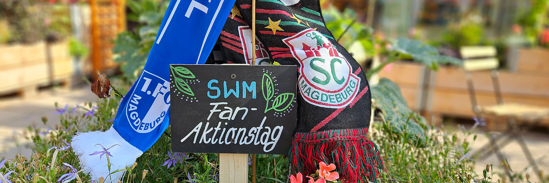 Fanschal vom FCM und SCM in Nachbars Garten