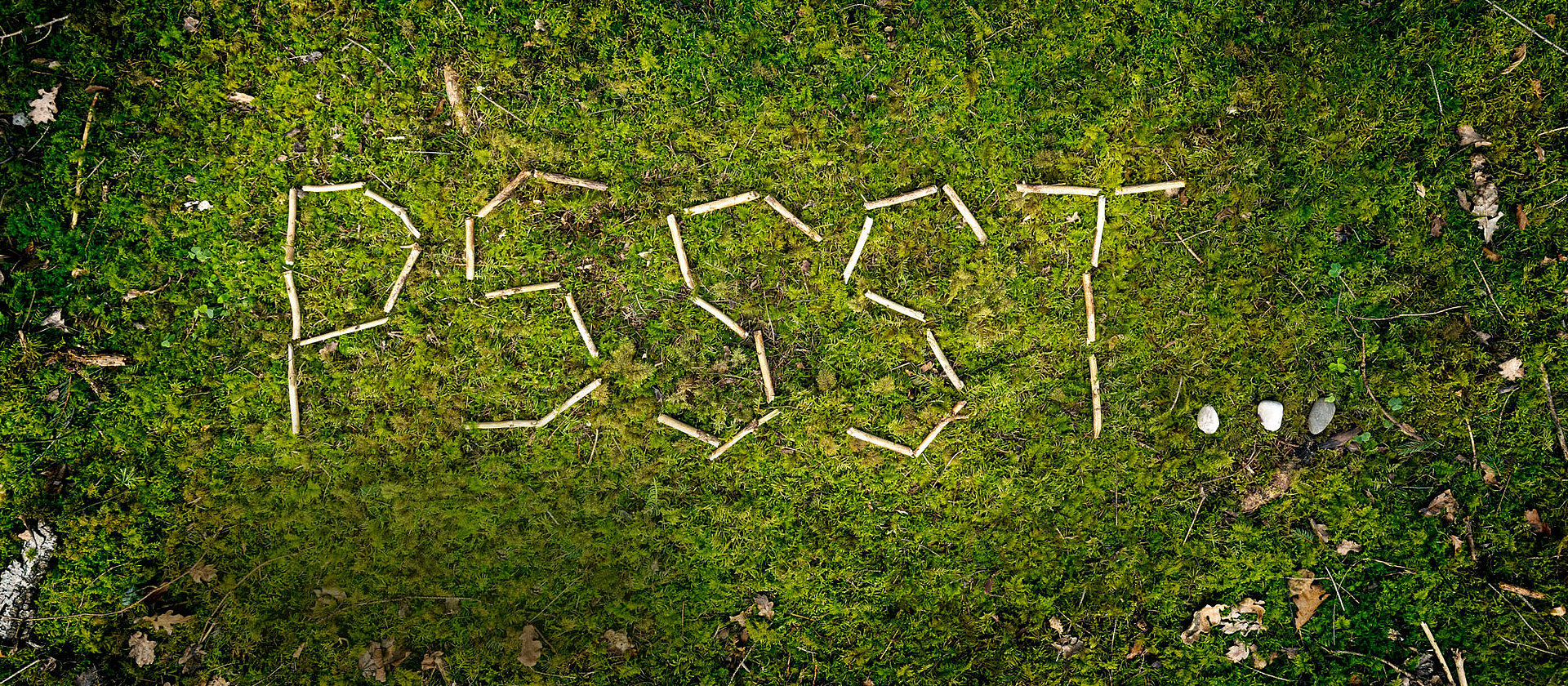 auf Waldboden wurde mit Holz das Wort "pssst" geschrieben