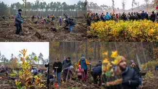 Fotos des Baumpflanzevents 2024
