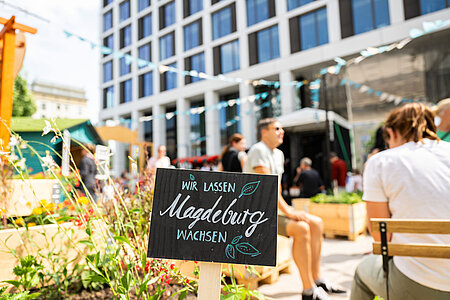 Schild "Wir lassen Magdeburg wachsen" im Hochbeet in Nachbars Garten
