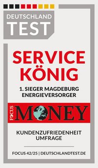 Service König 1. Sieger Stadt Magdeburg