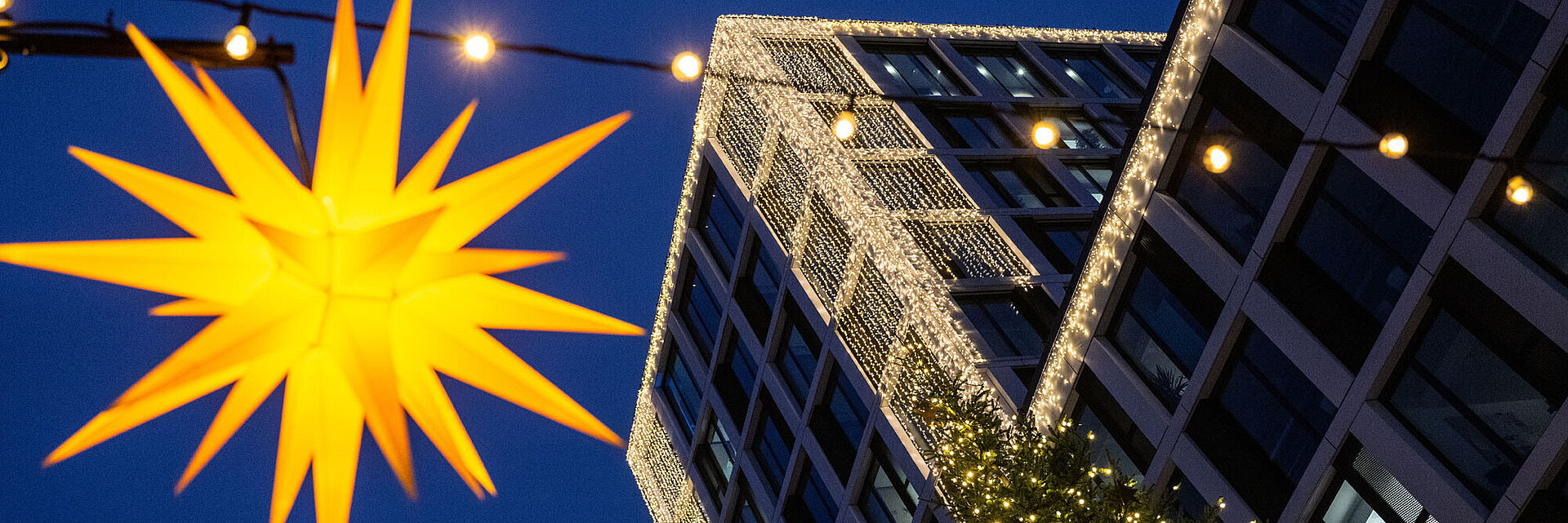 Gelber Herrnhuter Stern mit Blauen Bock mit Weihnachtsbeleuchtung im Hintergrund