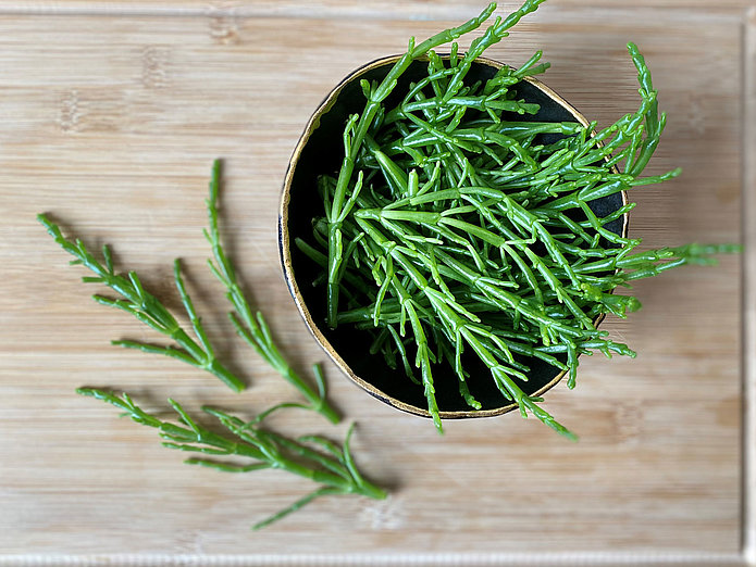 geernteter Seespargel aus der Salifaktur