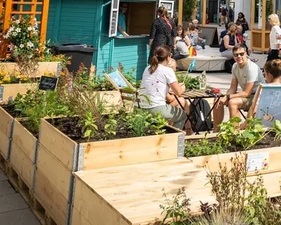 Blick in Nachbars Garten