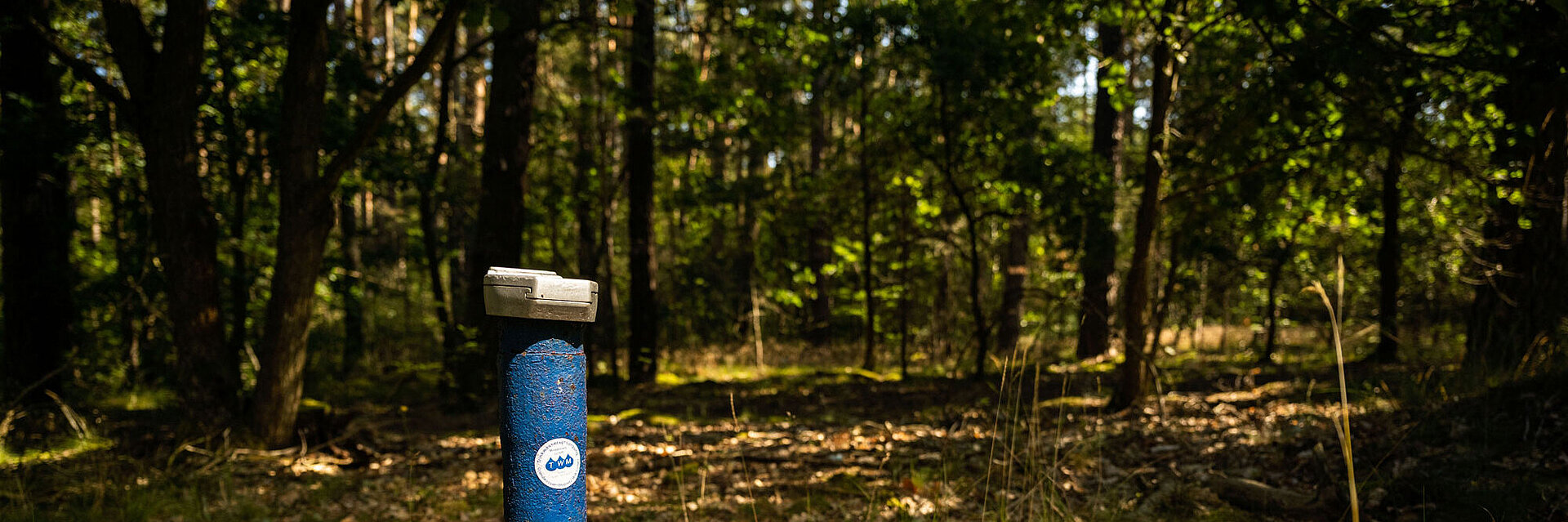 Grundwassermessstation beim Wasserwerk Colbitz