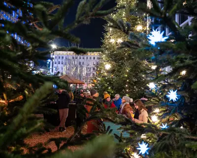 Menschen stehen bei Glühwein und Bratwurst in Gruppen in Mitten eines waldigen Weihnachtsmarktes