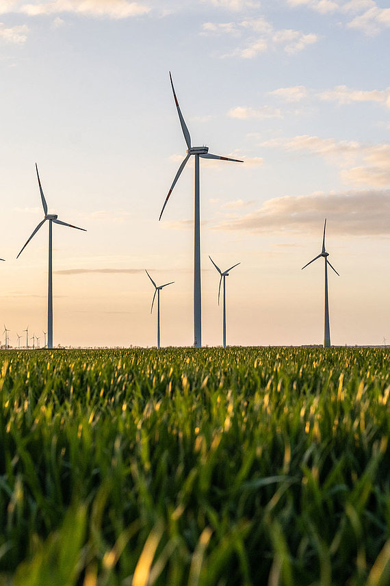 Windräder im Windpark Vehlitz bei aufgehender Sonne