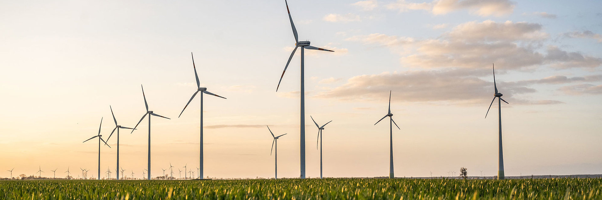 Windräder im Windpark Vehlitz bei aufgehender Sonne