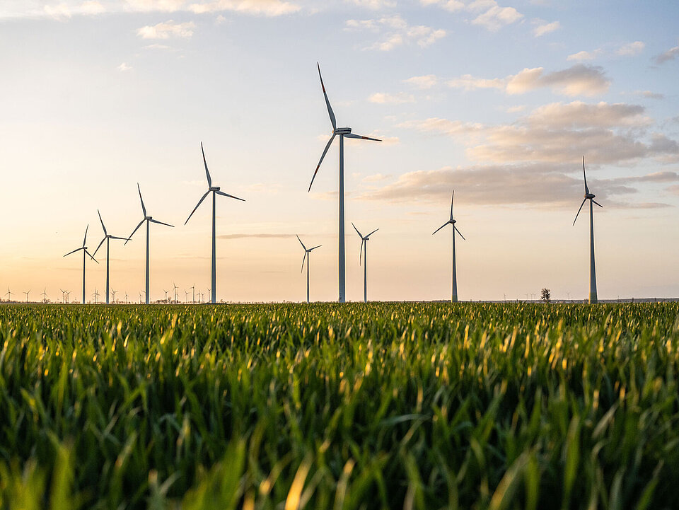 SWM Natur Strom z.B. aus dem Windpark Vehlitz Windräder im Windpark Vehlitz bei aufgehender Sonne