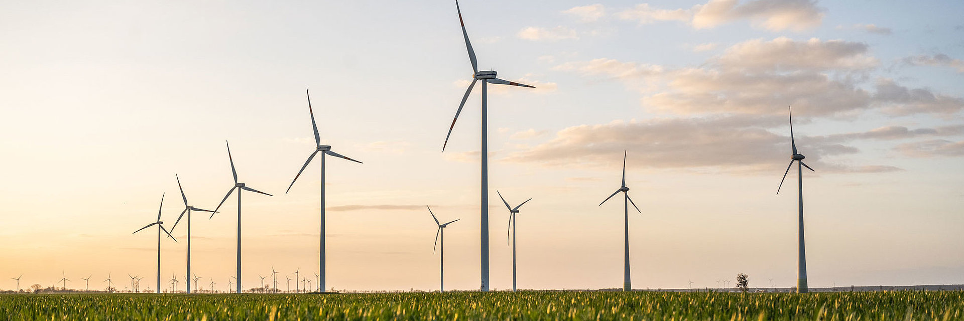 Windräder im Windpark Vehlitz bei aufgehender Sonne