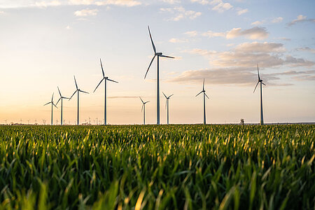 Windräder im Windpark Vehlitz bei aufgehender Sonne