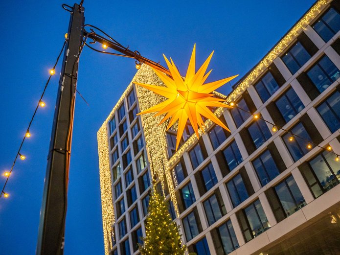 Blauer Bock mit Weihnachtsbeleuchtung mit gelben Weihnachtsstern
