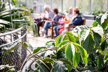 Besucher im Gruson Gewächshaus im Hintergrund, grüne Pflanzen im Vordergrund