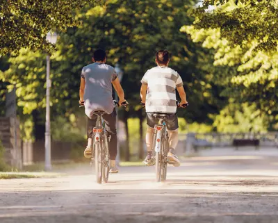 Zwei Männer fahren auf SWM E-Bikes im Sommer durch eine Allee in Magdeburg