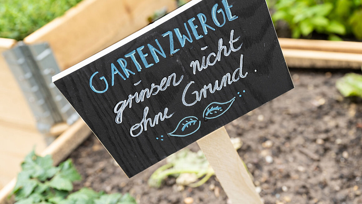 Schild "Gartenzwerge grinsen nicht ohne Grund." im Hochbeet in Nachbars Garten