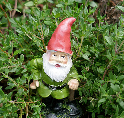 Gartenzwerg steht im Beet