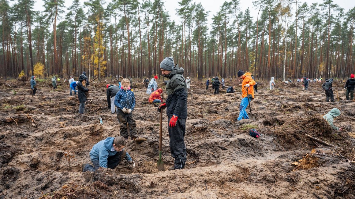 Menschen pflanzen Bäume im Wald