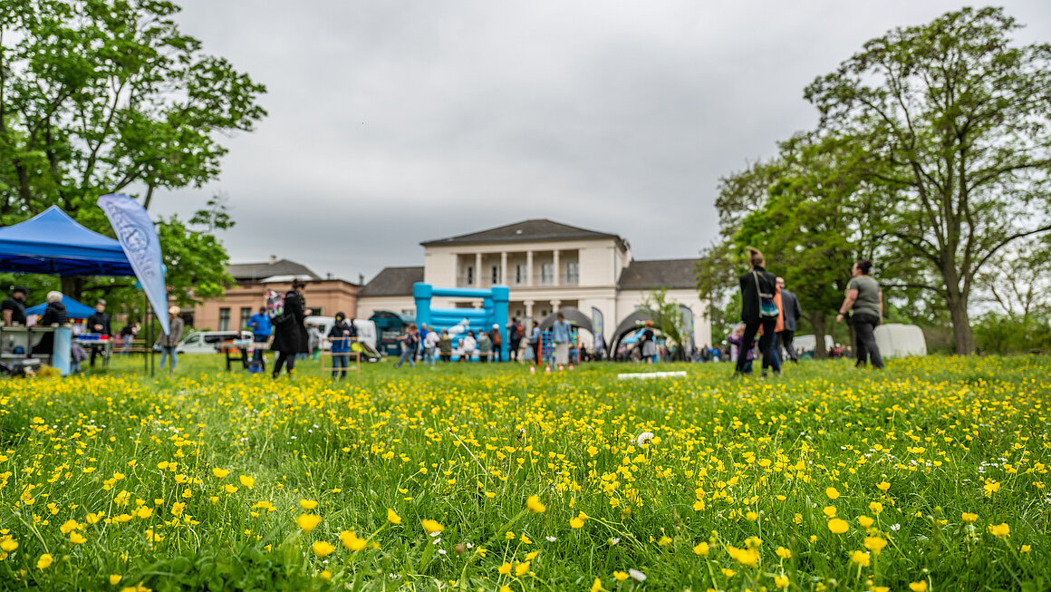 Blick auf eine grüne Wise mit vielen gelben Blumen und SWM Hüpfburg im Hintergrund