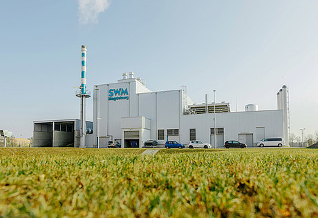 Biomassheizkraftwerk