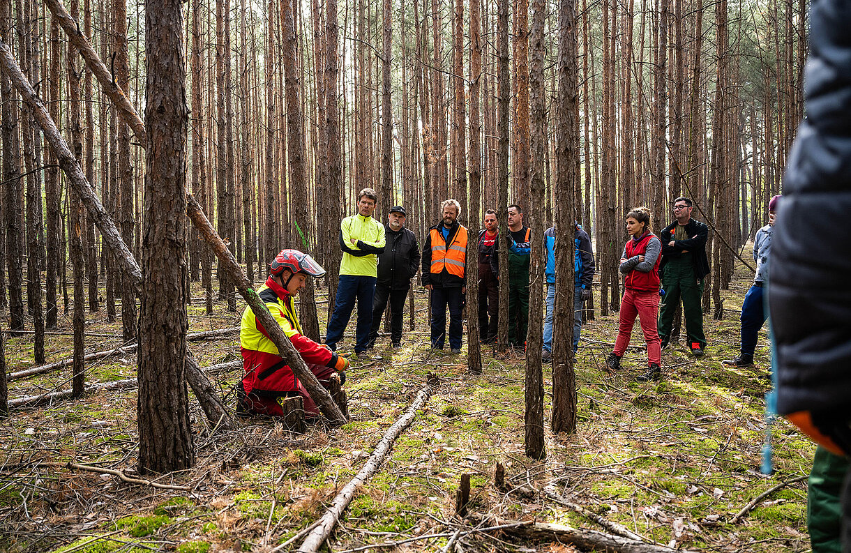 Die Teilnehmer:innen des SWM Motorsägenkurs im Beelitzer Wald