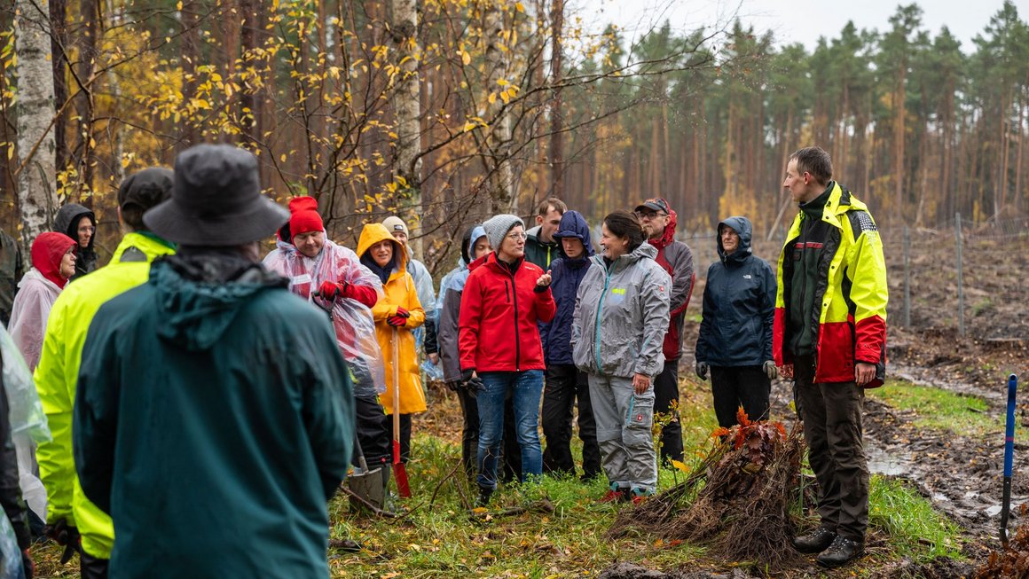Gruppe von Menschen stehen im Wald und besprechen das Baumpflanzen